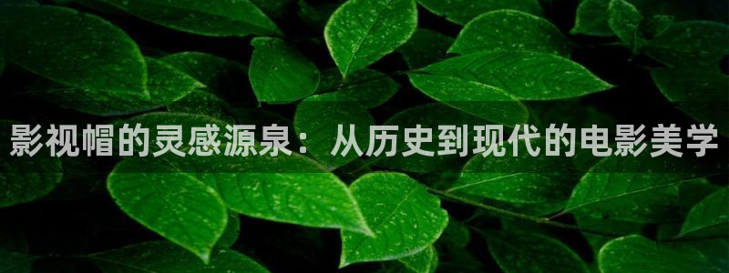 被窝电影网下载：影视帽的灵感源泉：从历史到现代的电影美学