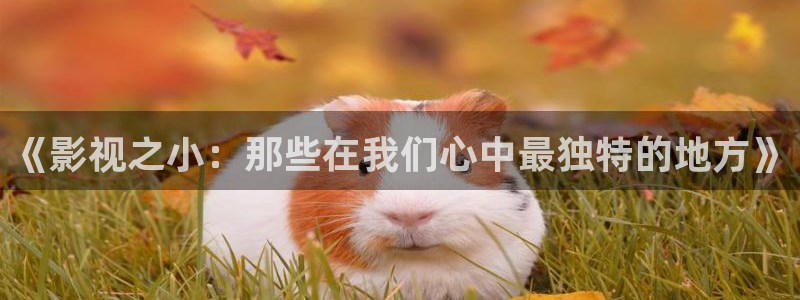 午夜被窝电影网：《影视之小：那些在我们心中最独特的地方》