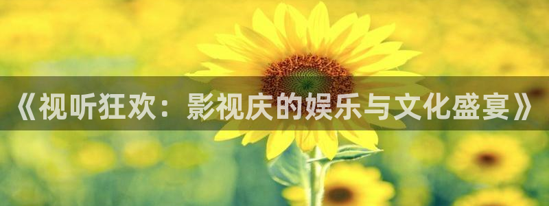 新被窝影院：《视听狂欢：影视庆的娱乐与文化盛宴》