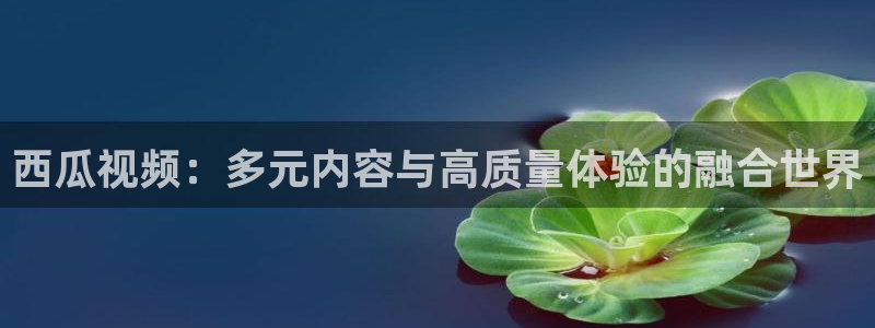 被窝午夜影视：西瓜视频：多元内容与高质量体验的融合世界