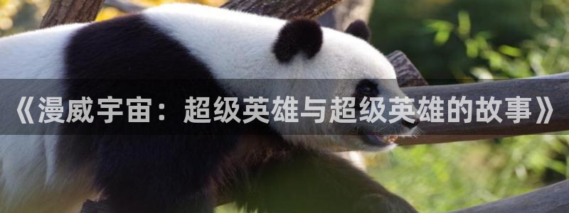 被窝在线影视：《漫威宇宙：超级英雄与超级英雄的故事》