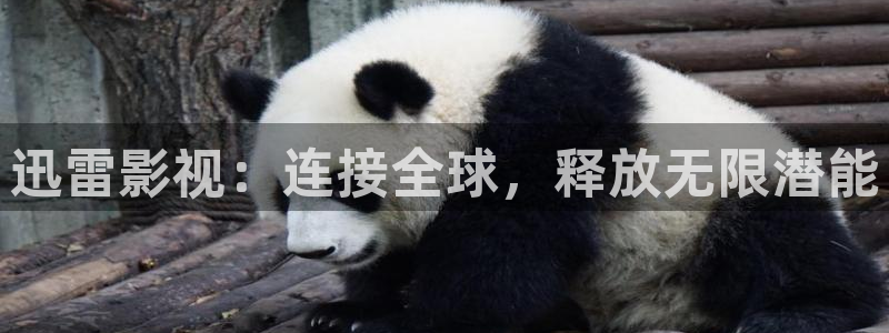 被窝午夜电影：迅雷影视：连接全球，释放无限潜能